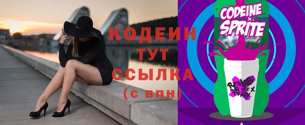 стафф Арсеньев