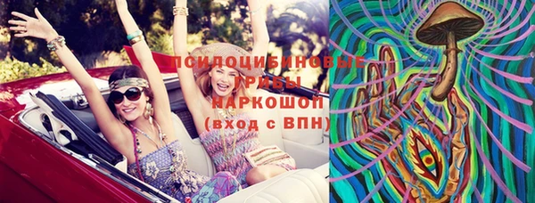 дживик Аркадак