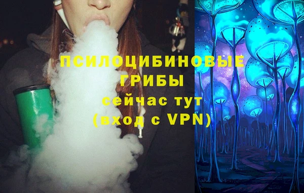 дживик Аркадак