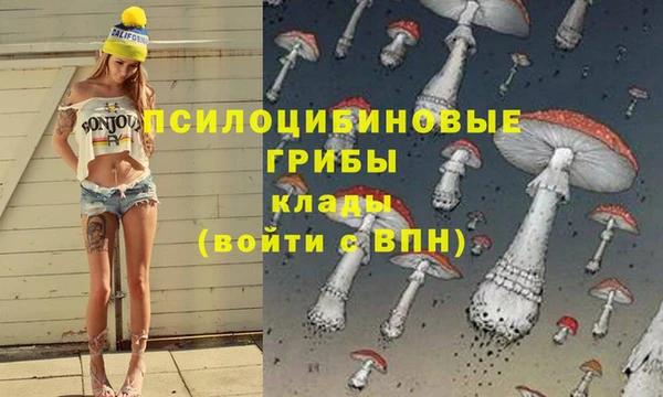 прущие крисы Армянск
