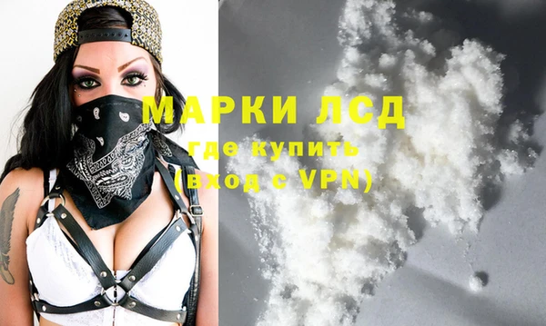 стафф Арсеньев