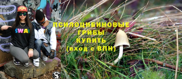 прущие крисы Армянск