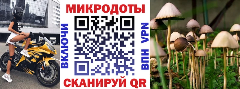 Галлюциногенные грибы GOLDEN TEACHER  наркота  Россошь 